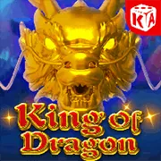 Hình ảnh chương trình đối tác betvnd9