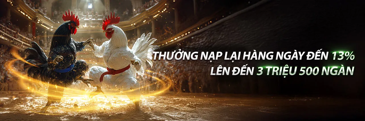 Sân vận động đầy ắp khán giả với trận đấu bóng đá sôi động tại betvnd9